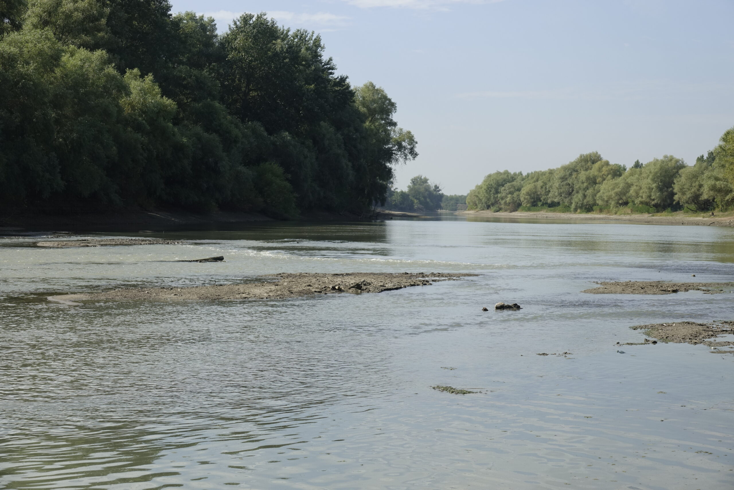 Река протока Забойский