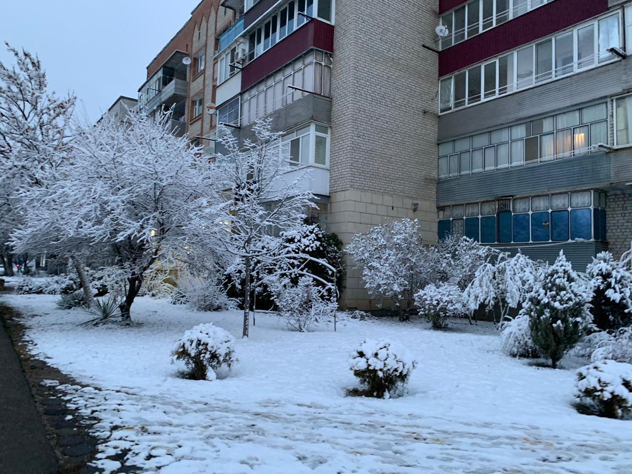 В крае выпал снег. Славянск на Кубани снег. Снег в Краснодаре. Зима в Краснодарском крае. Зима в Славянске на Кубани.