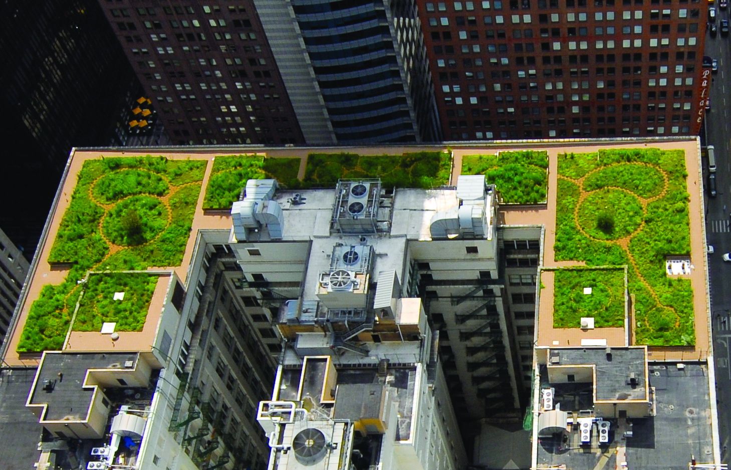 City Hall Rooftop Garden: зеленая крыша в Чикаго