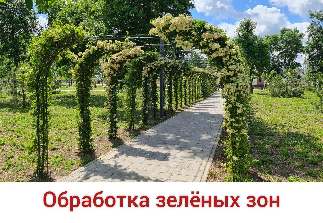 северный парк в славянске на кубани