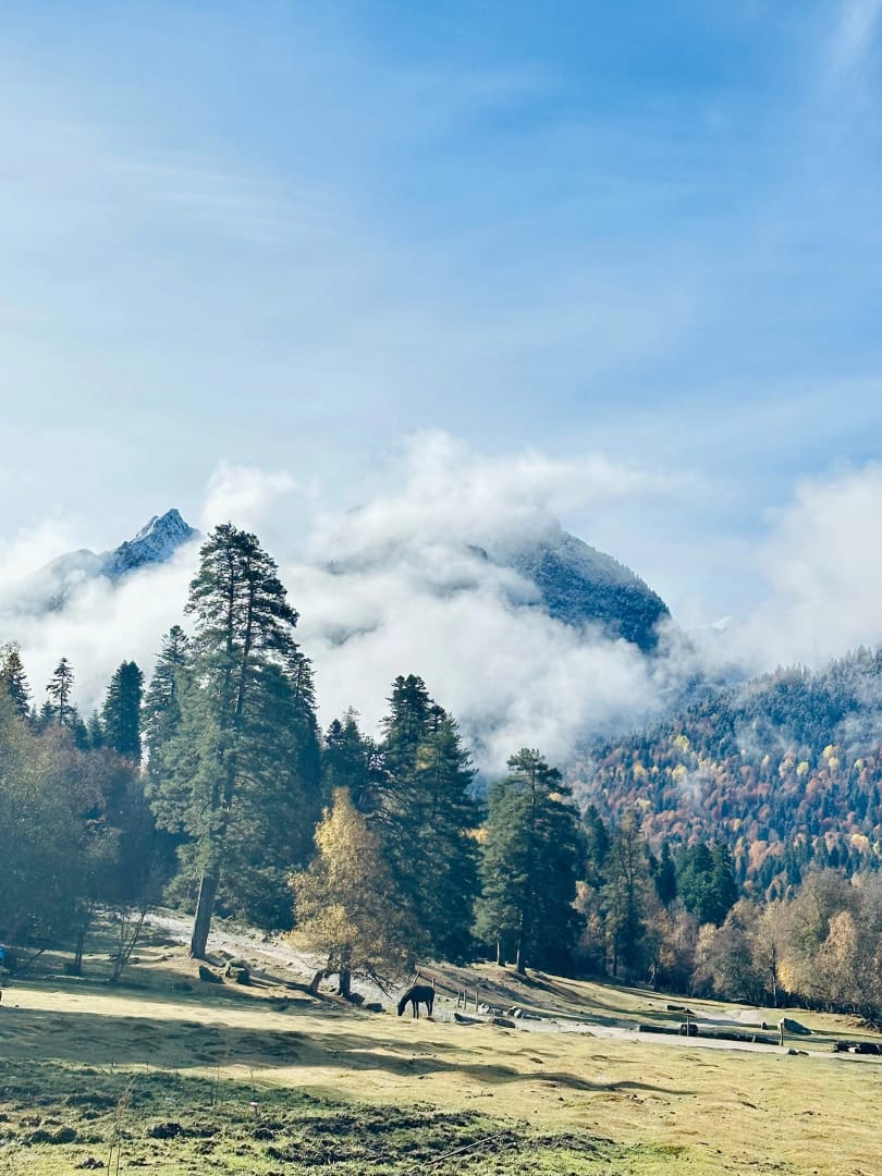 Девушка Домбай Архыз вертикальное фото 4к