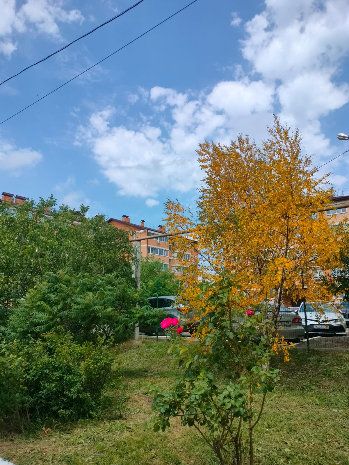 Лето, пожалуйста, не забудь! – Заря Кубани Новости Славянска-на-Кубани